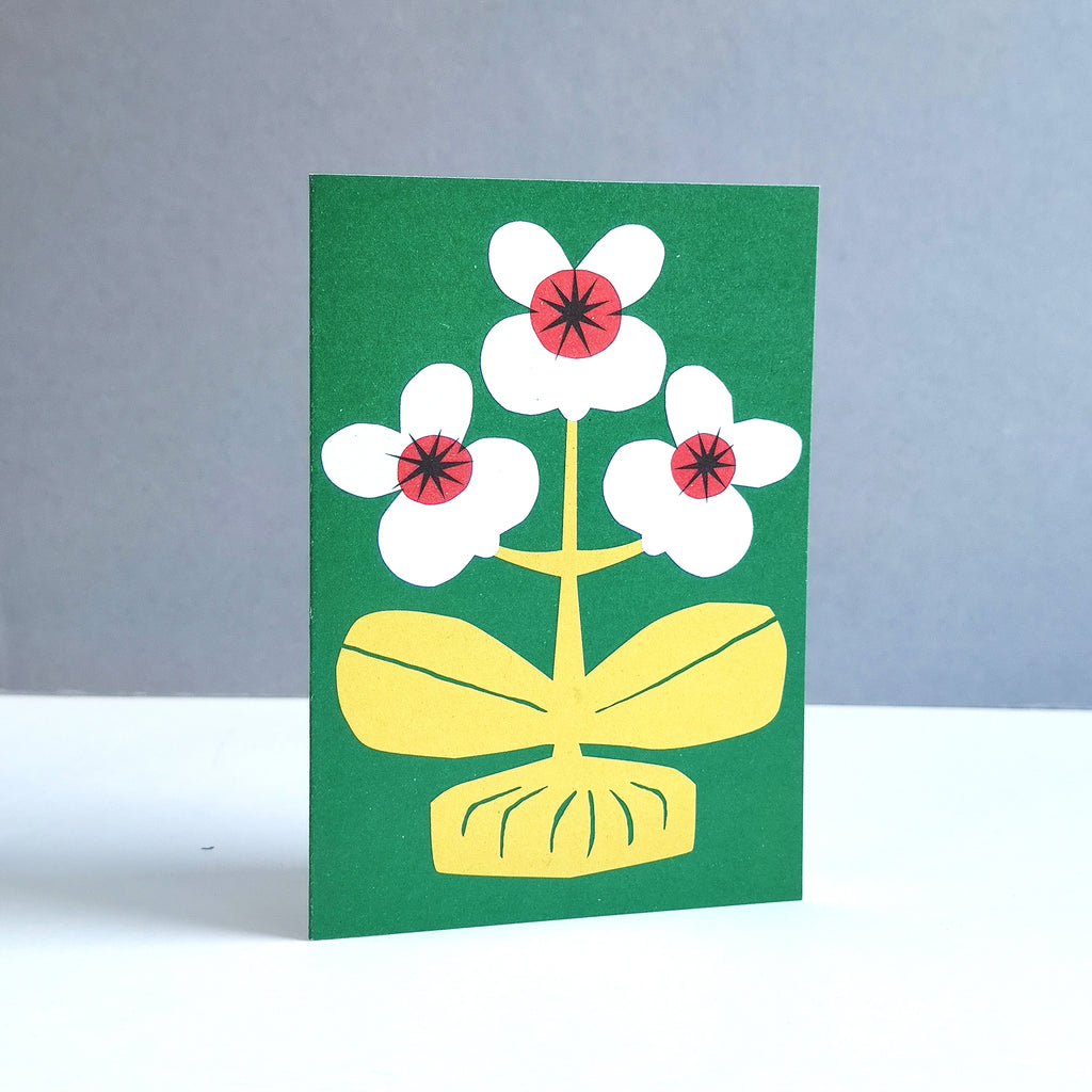 A6 Floral Card  - Narcissus